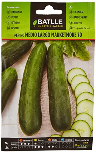 Semillas Batlle – Concombre Marketmore 70, Long, Moyen