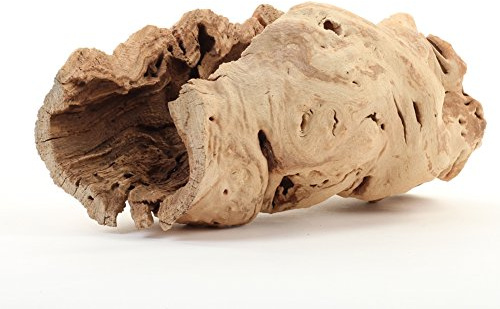 Koyal Wholesale 10 Hollow Grapewood Branch Decor 1Pcs Grapewood Centerpiece Vase Air Plants Sand Blasted Grapevine Wood Untreated Terrarium Wood Driftwood Decor