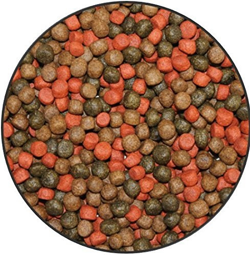 Wohnkult TOP Premium Koifutter 3 Sorten Mix in 3 mm und 6 mm 5 Liter und 10 Liter Spirulina Knoblauch Color Teich Koi Goldfisch Stör (3 er Mix 6 mm / 5 Liter)
