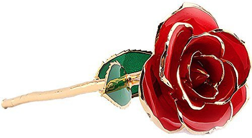 Rose Rouge ornée de Feuilles d'or 24 carats « Amour éternel » - Fleur véritable trempée dans l'or, confectionnée à la Main - Pièce d'art Unique symbolisant l'amour éternel pour Les Anniversaires