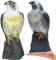 Retoo Vogelabwehrmittel, Falken, Falkengarten, Gefälschte Vogel, Gartenschutz, Schädlingsabwehr, Greifvogel, Raubvogel Attrappe, Natürliche Schädlingsbekämpfung, Kunststoff, 40 x 17,5 cm, Grau