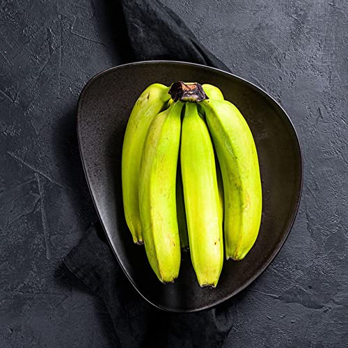 semillas de plátano de plátano resistentes jardín plátanos Balcón exótico a prueba invierno resistentes jardín en setos, arbustos, 40semillas