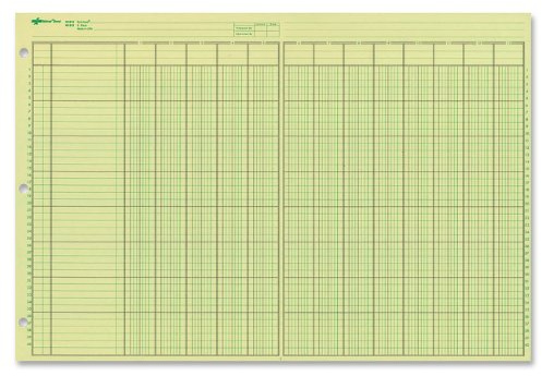 National Analysis Pad, 13 Columns, Green Eye-Ease Paper, Numbered Lines, Side-Punched, 11 x 16.375, 50 Sheets (45613)