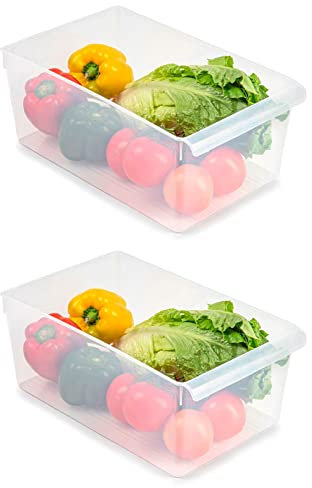 Acan Tradineur - Pack de 2 Cajones organizadores para frigorífico Nº 14 - Fabricado en Polipropileno - Recipiente de Polipropileno Transparente - 15 x 23 x 37 cm