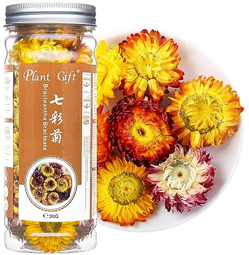 PlantGift Bracteantha bracteata 30G/1.05oz 七彩菊 Thé de chrysanthème de sept couleurs, combinaisons de fleurs séchées, pétales de fleurs séchées peuvent être utilisés pour la fabrication de savon