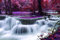 Puzzle 1000 Teile Erwachsene Wasserfall im Wald 70 x 50 cm Puzzles für Erwachsene Lernspiel Herausforderungsspielzeug 1000-teilige Puzzles für Erwachsene Kinder