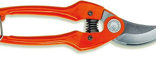 Acesa-Coupe-Branches P 126-22 1 M
