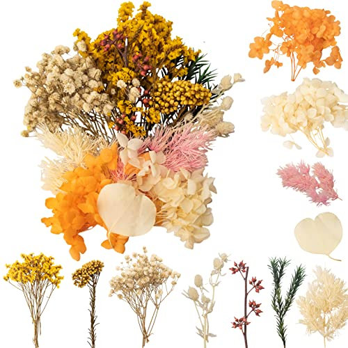LAUMOE Trockenblumen, Getrocknete Blumen, Trockenblumen Zum Basteln Klein Kunstblumen Set ​für Kunst DIY Harz Scrapbooking Handwerk Karten Machen (Stil 2)