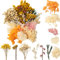LAUMOE Trockenblumen, Getrocknete Blumen, Trockenblumen Zum Basteln Trockenblumen Klein Trockenblumen Set ​für Kunst DIY Harz Scrapbooking Handwerk Karten Machen (Stil 2)