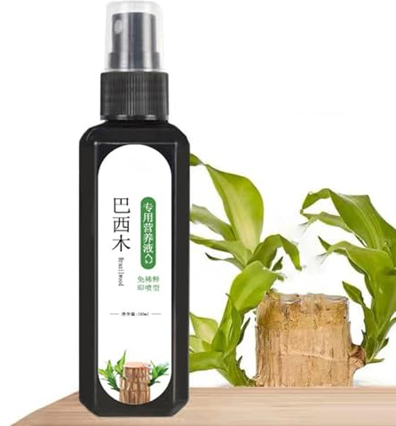 Brasilianisches Lucky Wood-Pflanzenfutter – Lucky Bamboo Flüssigdünger | Flüssiger Brasilianischer Holzdünger | 100 Ml Tablett Aus Brasilianischem Für Pflanzen