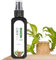 Brasilianisches Lucky Wood-Pflanzenfutter – Lucky Bamboo Flüssigdünger | Flüssiger Brasilianischer Holzdünger | 100 Ml Tablett Aus Brasilianischem Für Pflanzen