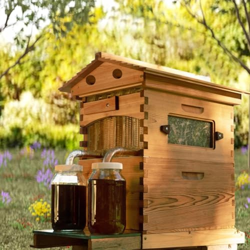 Active Hive Bee Hives Boxes Starter Kit - with 7 Honey Flowframes, Bee Beekeeping Starter Kit
