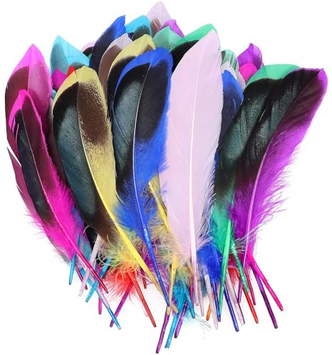 Acooruiteng Colorful Feathers for Fluffy & Soft Crafts - DIY Handmade Crafts Gift Box Filling Ornament Decoration (50 Pcs)