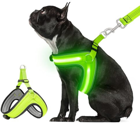 BiPawTi Leuchtendes Hundegeschirr Mittelgroße Hunde, Aufladbar Leuchtgeschirr Hundeweste mit 3 Lichtmodi - Leuchtet Im Dunkeln LED Geschirr für Hunde, Brustgeschirr fürs Camping mit Hund - Grünlicht