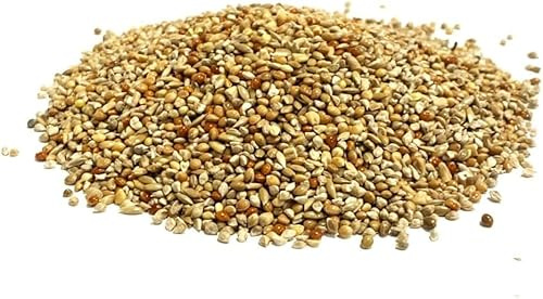 500g Quail Seed Mixed Cage Bird Food SJJ