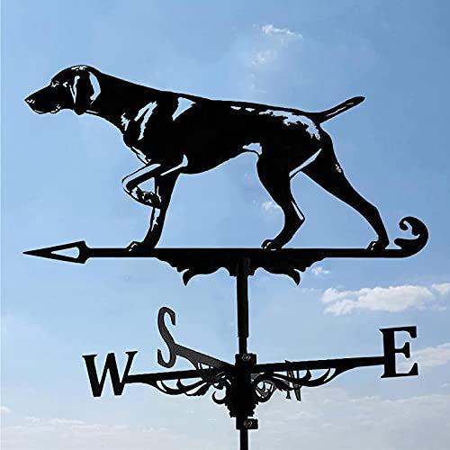 Decorazione banderuola a Forma di Gallo, banderuola a Vento per Montaggio sul Tetto, Scena di Fattoria all'aperto, indicatore di direzione del Vento con Rivestimento antiruggine, Strumento di misuraz
