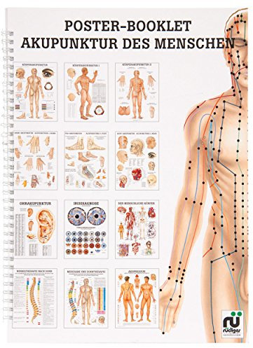 Akupunktur des Menschen Mini-Poster Booklet Anatomie 34x24 cm, 12 Poster