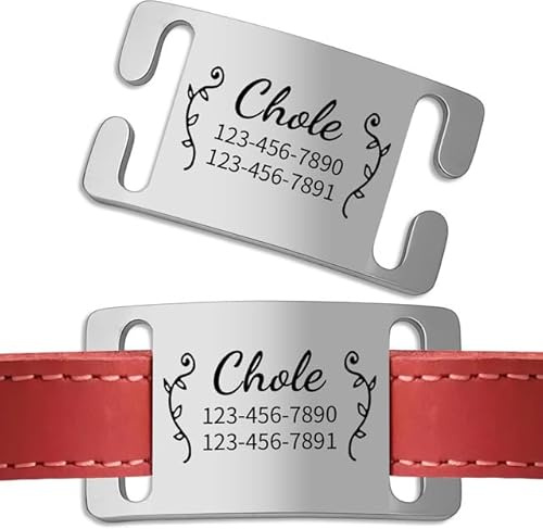 Chapa Identificativa Perro Grabada - Placa Perro Personalizada - Chapas Personalizadas Perros Gatos para Collar de Mascotas | Diseño Silencioso y Abierto, Fácil Instalación (4 Tamaños Opcional)