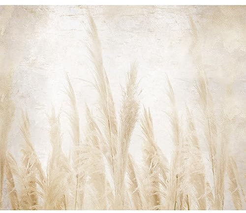 murando - Vlies Fototapete Natur 300x210 cm - Foto Tapete Schlafzimmer Wohnzimmer Moderne Vliestapete XXL Wandtapete Motivtapeten Bildtapete 3d Effekt Wand Dekoration - Gras Beige b-A-10194-a-a