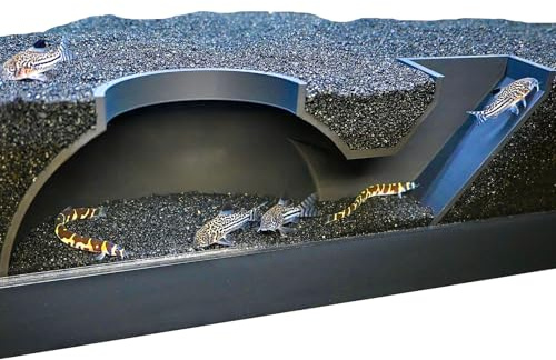Lucky Critter Fish Tank Underground Dome Tunnel | Viewing Fish & Shrimp Aquarium Under Gravel Cave | Fish Tank Decor Hideaway Perfect for Corydora Catfish, Kuhli Loach, Clown Loach, Pleco