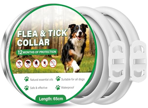 Collare Antiparassitario per Cani 2 Pezzi, 12 Mesi di Protezione Sicura ed Efficace, Collare Antipulci e Zecche con Oli Essenziali Naturali, 65 cm Regolabile Impermeabile per Tutti i Cani