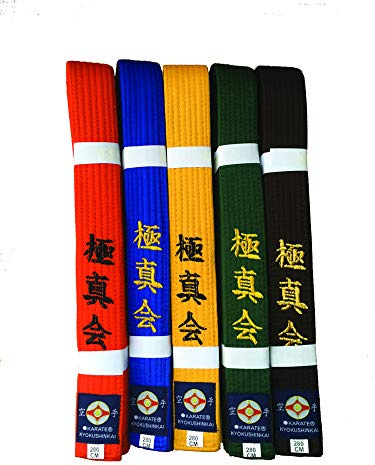 Kyokushin Karate Gürtel (orange, 300)