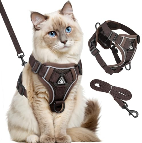 GlasFlength Harnais pour Chat avec Laisse Anti-éclatement, Laisse pour Cha t avec Harnais réglable Harnai s Souple pour Cha t avec Bandes Réfléchissantes (Braun-XL)