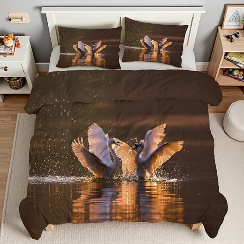 Piumino Matrimoniale Airone Bianco Trapunte Gocce D'Acqua Piumone Imbottito Resistente Lavabile, Super Morbida Trapunta, piumini 220x240 cm in Microfibra Reversibile e 2 Federa 50x80 cmT1187
