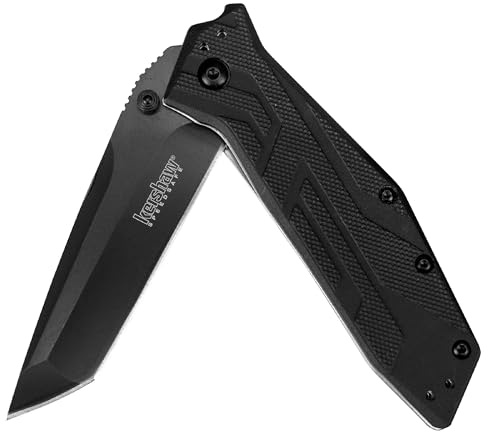 Kershaw Brawler Pocket Knife, All-Black, 3 Inch Tanto Blade