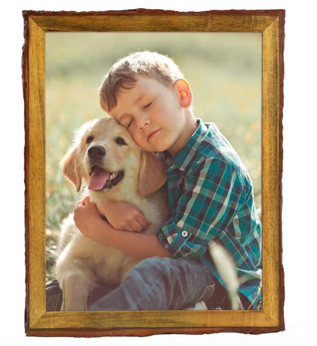 Golden State Art, 11x14 Picture Frame Rustic Brown, Solid Wood Picture Frame with Bark Edges & Real Glass Cover, Display Posters/Photos/Prints 11x14 for Wall Mounting, Farmhouse Decor