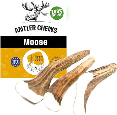 RF-Deer Elchgeweih, Geweihstück Größe XXL - 1 Stück - Natürlicher Geweih-Kausnack für Hunde, Gesunder Kauspielzeug, Kauknochen für Zahnpflege Hund, Hundespielzeug, Hard, 220-280 g, 18-21 cm