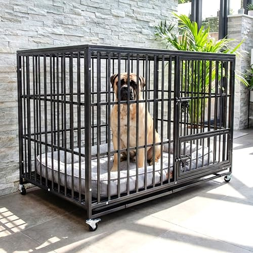 Heavy Duty Dog Cage 49 XL By Cozy Pet Steel Crate Vet Groomers Commercial Use Kennel HDDC03