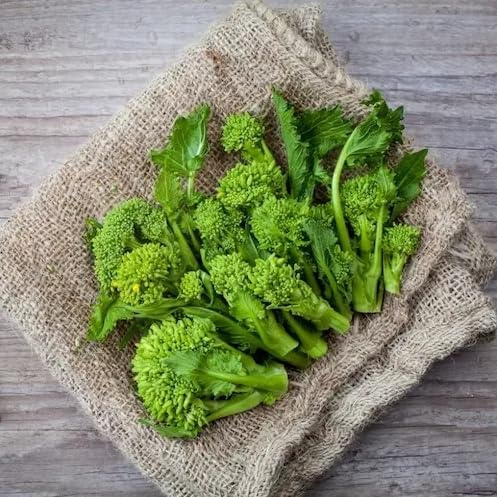 Semi di Broccolo, Broccoletto, Cima di Rapa Selezione Pugliese, 300 Semi