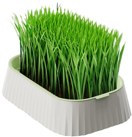 Acunny Cultivador de Hierba para Gatos | Bandeja De Germinación, Crecimiento Y Cultivo para Hierba Gatera | Herramientas De Plantación Doble Capa Recipiente Sin Suelo, Suministros para Mascotas