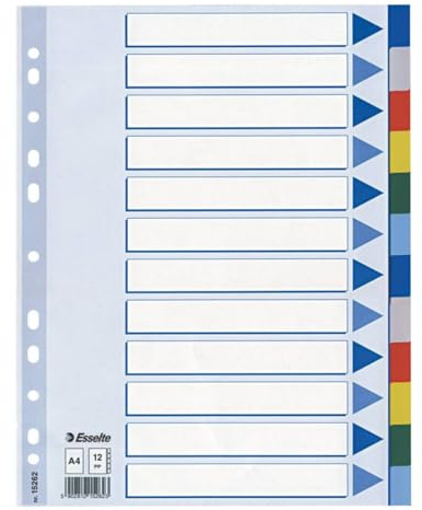 Leitz Esselte Register für A4, Deckblatt und 12 Trennblätter mit Taben, Mehrfarbig, Robuster Kunststoff, 15262
