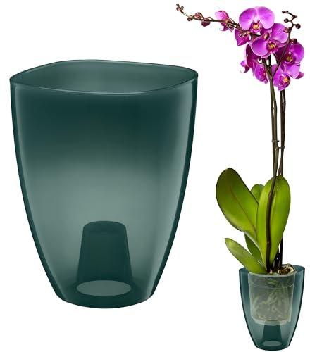 VERDENIA KAJA - Maceta para orquídeas, diseño Minimalista, Ligera, para Interiores, Polipropileno, Superficie Transparente, práctica y Funcional, 12 x 12 x 17 cm, Color Verde Oscuro