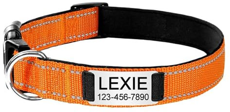 Personalised Dog Collar with Engraved Metal Buckle, Reflective Nylon Collars for Small Medium Large Dogs with Custom Name Plate Phone Number (Orange)