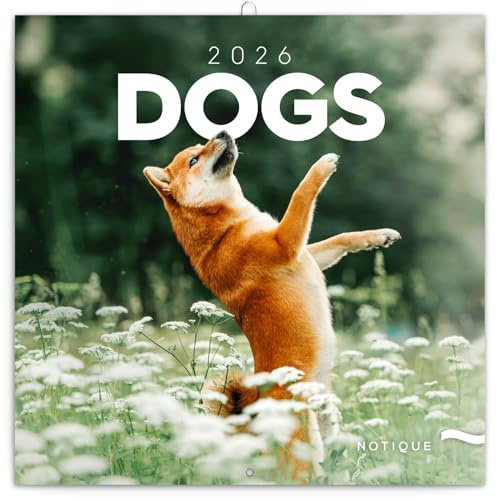 NOTIQUE Calendario da parete 2026 Cani, calendario mensile in brochure, design estetico 30 x 30 cm (aperto 30x60)