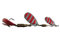 Dam Spinner Fz Tandem Dressed Stripe 14G