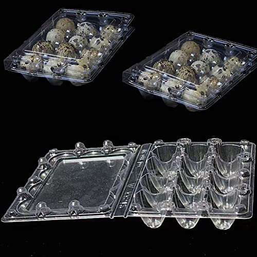 Confezione da 30 scatole per uova di quaglia, 12 griglie, scatole per uovo di quaglia, scatole per uovo di quaglia, in plastica, trasparenti, per uova di quaglia