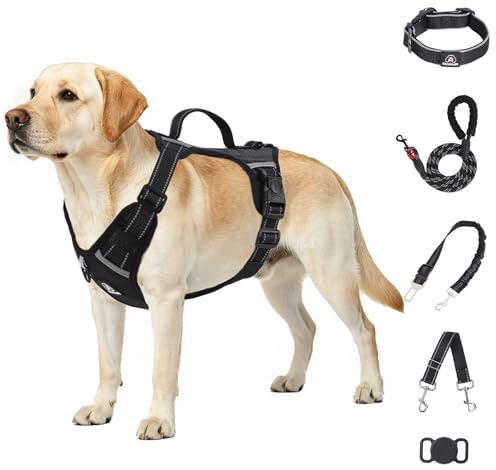 IEUUMLER Reflecantes Arnés Anti-Tirón con Correa, Cinturón de Seguridad, Banda de Respaldo, Asa Ajustable y Collar Compatible AirTag para Perros Todas Tallas EU021 (Negro, L)