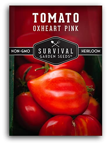 Pink Oxheart Tomato Seeds for Planting – Indeterminate Heirloom Variety – Large, Meaty, Heart-Shaped Tomatoes – Non-GMO, Open-Pollinated – Survival Garden Seeds (1 Pack)