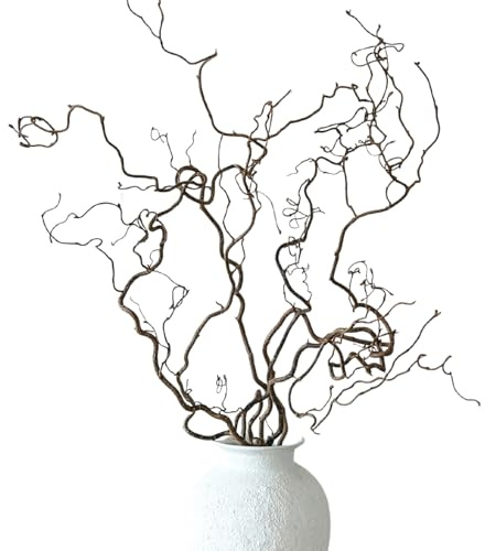 Eve & Wild Real Twisted Corylus Hazel Branches, Natural Decorative Dried Branch Decor, Curly Twigs for Vase, Japandi Decor, Twisted Willow (1, MEDIUM (70-80cm))