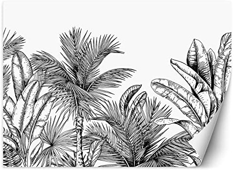 Feeby Papier Peint Intissé Exotisme Tropiques Esquisse 300x210 cm noir et blanc XXL Moderne Décoration Murale Tableaux Muraux Tapisserie Salon Chambre à coucher La jungle Les feuilles Des palmiers