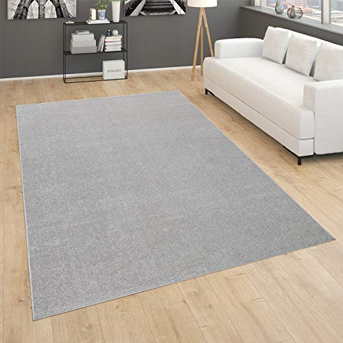 Paco Home Tapis pour Salon Uni Poils Ras Sobre Et Moderne, Argenté, Dimension:240x340 cm