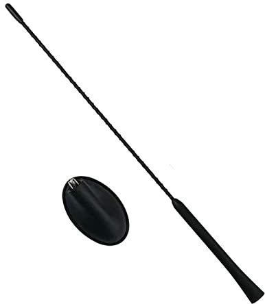 FanPaYY Car Antenna 41cm Raku 2 Amplifier Radio Aerial Roof Radio Antenna for Transit Mondeo Fiesta KA Kuga Focus C-MAX