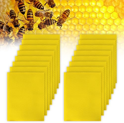 20 velas de cera de abejas, 20 x 20 cm, placas de cera de abejas para velas, placas de cera para apicultura, haz tus propias velas, para hacer velas, manualidades, velas de Navidad