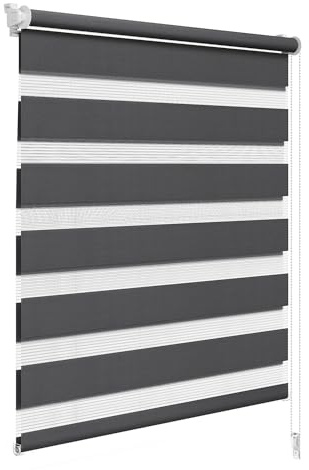 WOLTU Doppelrollo Klemmfix ohne Bohren Anthrazit B60 x H150 cm, Duo Rollo lichtdurchlässig Fensterrollo für innen verdunkelnd, Zebrarollo mit Kettenzug - Seitenzugrollo für Fenster und Tür