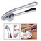Itian Forte Trita Aglio, Spremiaglio in Acciaio Inox, Spremi Aglio, Trita Aglio, Spremiaglio, Spremiaglio Professionale da Cucina, Tritatore Professionale in Acciaio Inox per Aglio