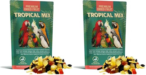 Premium Dried Fruit Cocktail Treat Snack For Birds Parrots In Air Tight Resealable Kraft Pouch Bag 210 Grams (Pack of 2)